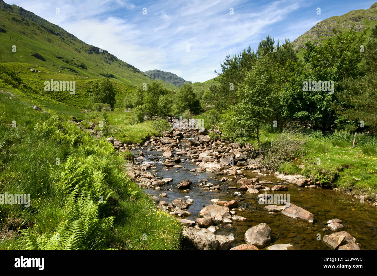Campagna scozzese scena ripresa alla fine di Balquhidder glen, parte del Loch Lomond e il Trossachs national park in estate Foto Stock