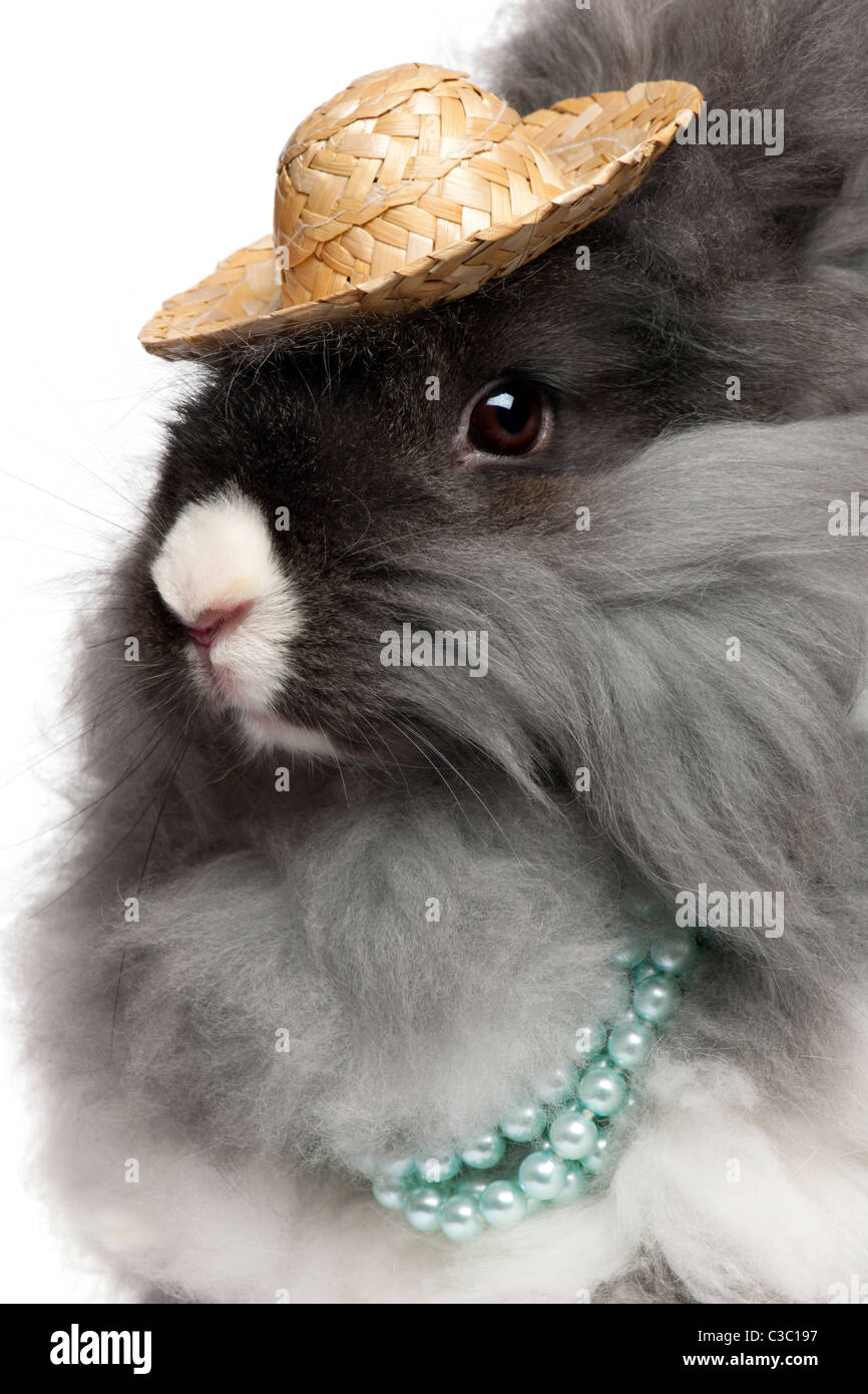 Close-up di inglese il coniglio d'Angora indossando le perle e cappello di paglia davanti a uno sfondo bianco Foto Stock