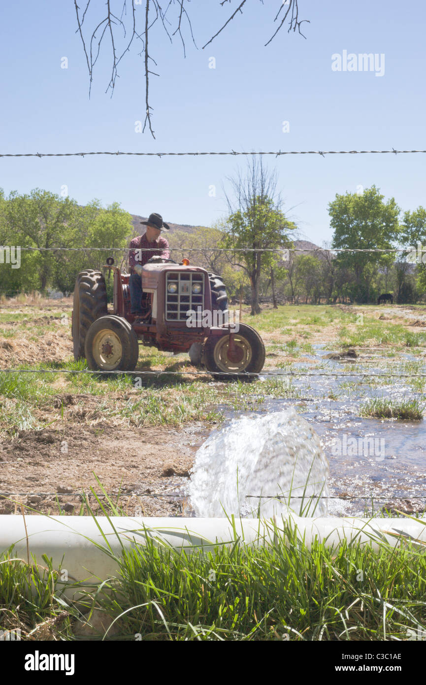 Acqua per le attività agricole e di allevamento è un bene prezioso nel Hondo Valle, Nuovo Messico. Foto Stock