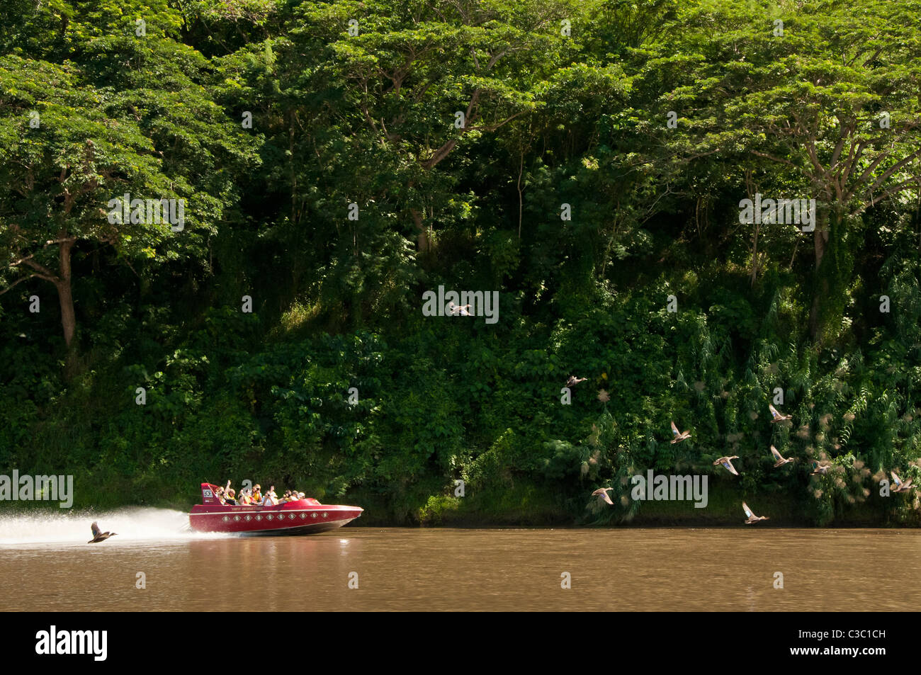 Sigatoka River Safari jetboat tour, isola di Viti Levu, Fiji. Foto Stock