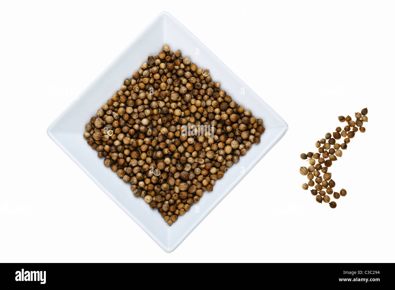 Semi di coriandolo in piatto bianco Foto Stock