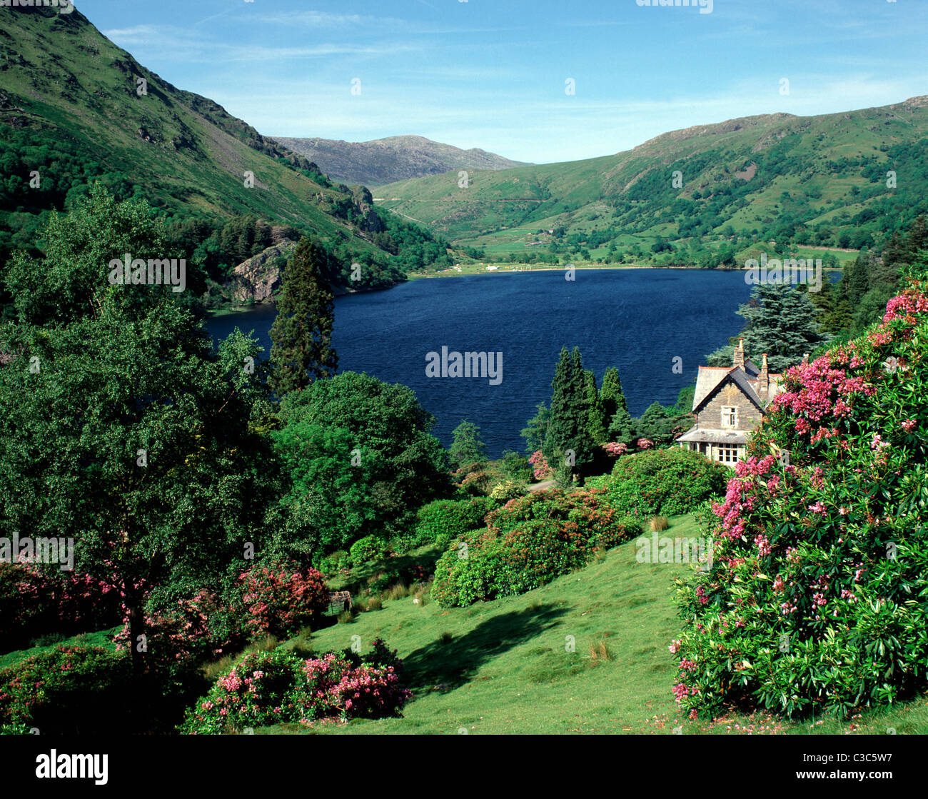 Llyn Gwynant , Snowdonia, Gwynedd, Galles Foto Stock