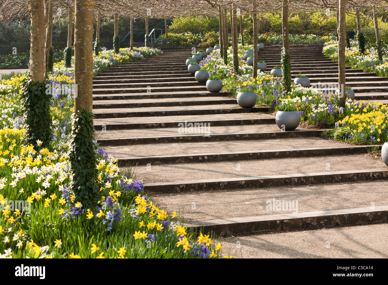 Eden Project Regno Unito - Scalone in primavera Foto Stock