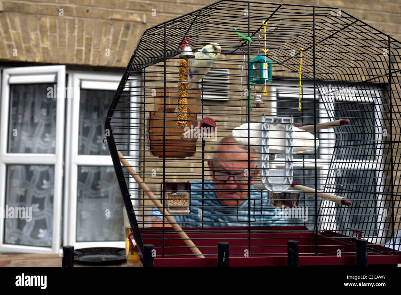 Uomo con pet bird a Londra Foto Stock