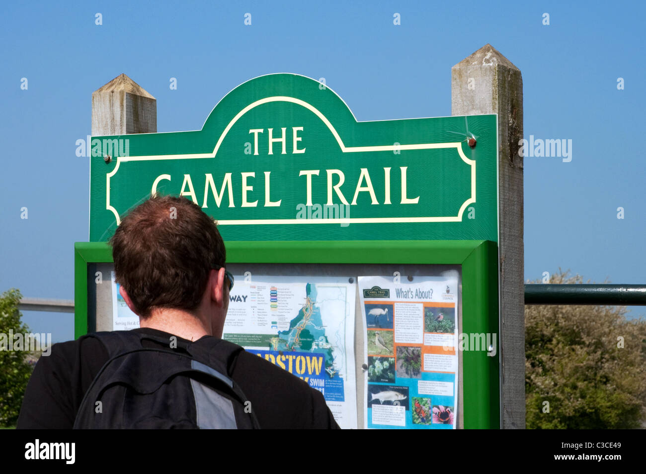 Qualcuno guardando la scheda di informazioni a ' Il Cammello Trail ' in St Albans, Cornwall, Regno Unito Foto Stock