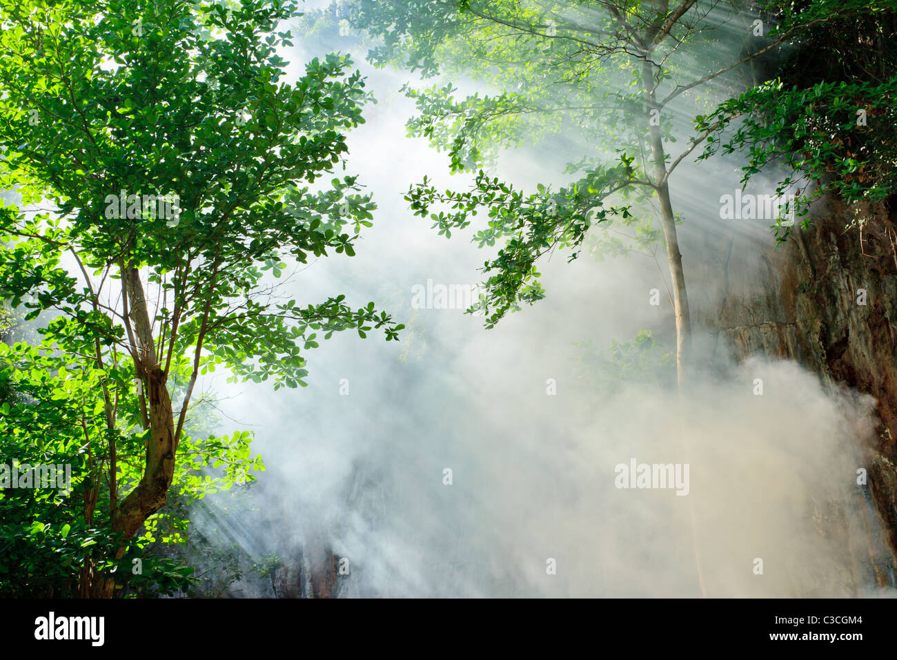 Mattina sunbeam e il fumo nella foresta tropicale, ko laoliang isola, Thailandia Foto Stock