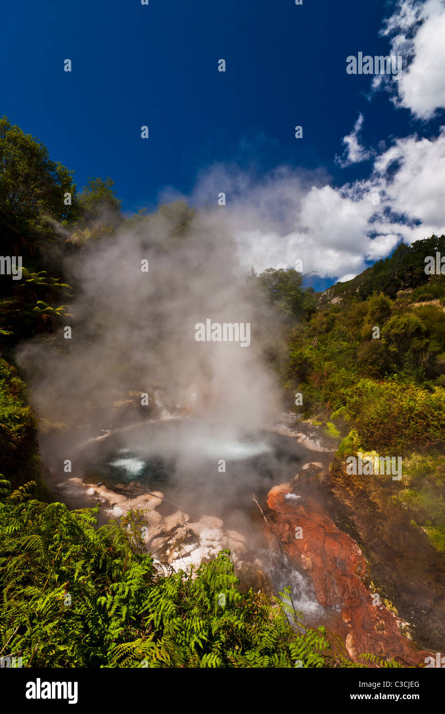 Area geotermica a Wai-O-Tapu, Rotorua, Isola del nord, Nuova Zelanda. Foto Stock