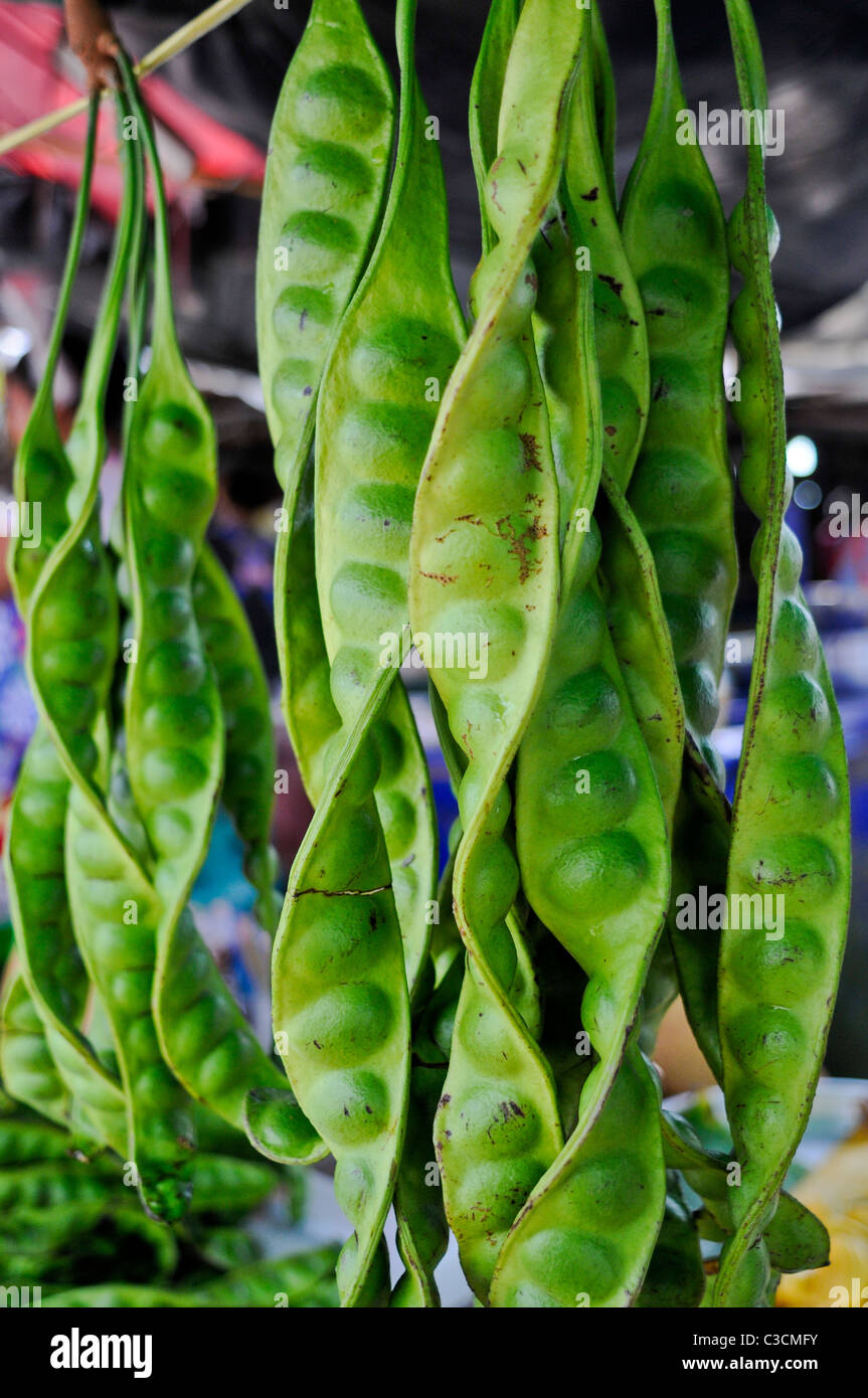 Giant ritorto baccelli di piselli appendere in un mercato tropicale stallo. Un grande esempio di vivaci mature e frutti esotici nel Sud Est Asiatico. Foto Stock