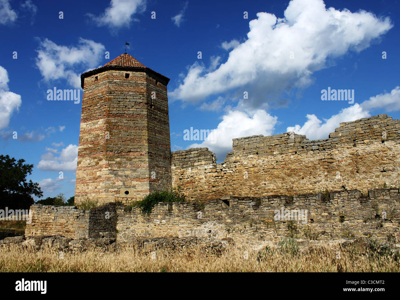 Fortezza, Belgorod-Dnestrovskiy, Ucraina Foto Stock