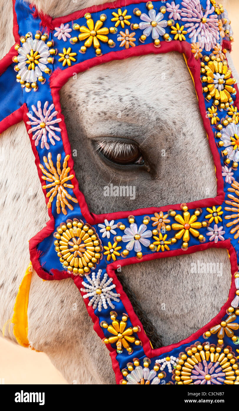 Cavallo con beadwork decorativo sulla briglia a Angkor Wat, Cambogia Foto Stock