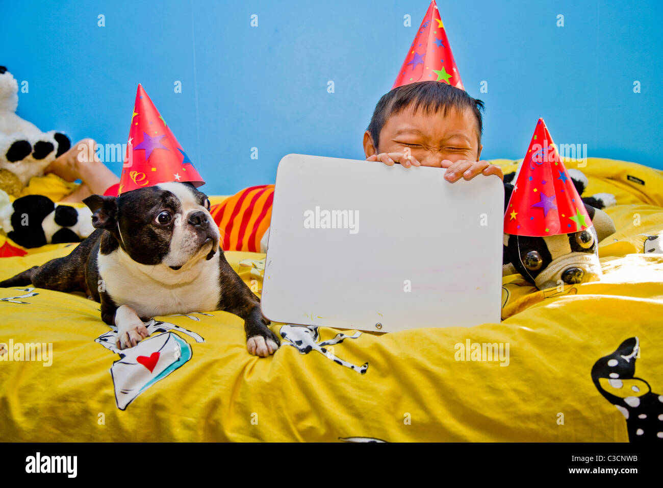 ragazzo e cane che indossano cappelli da festa sul letto Foto Stock