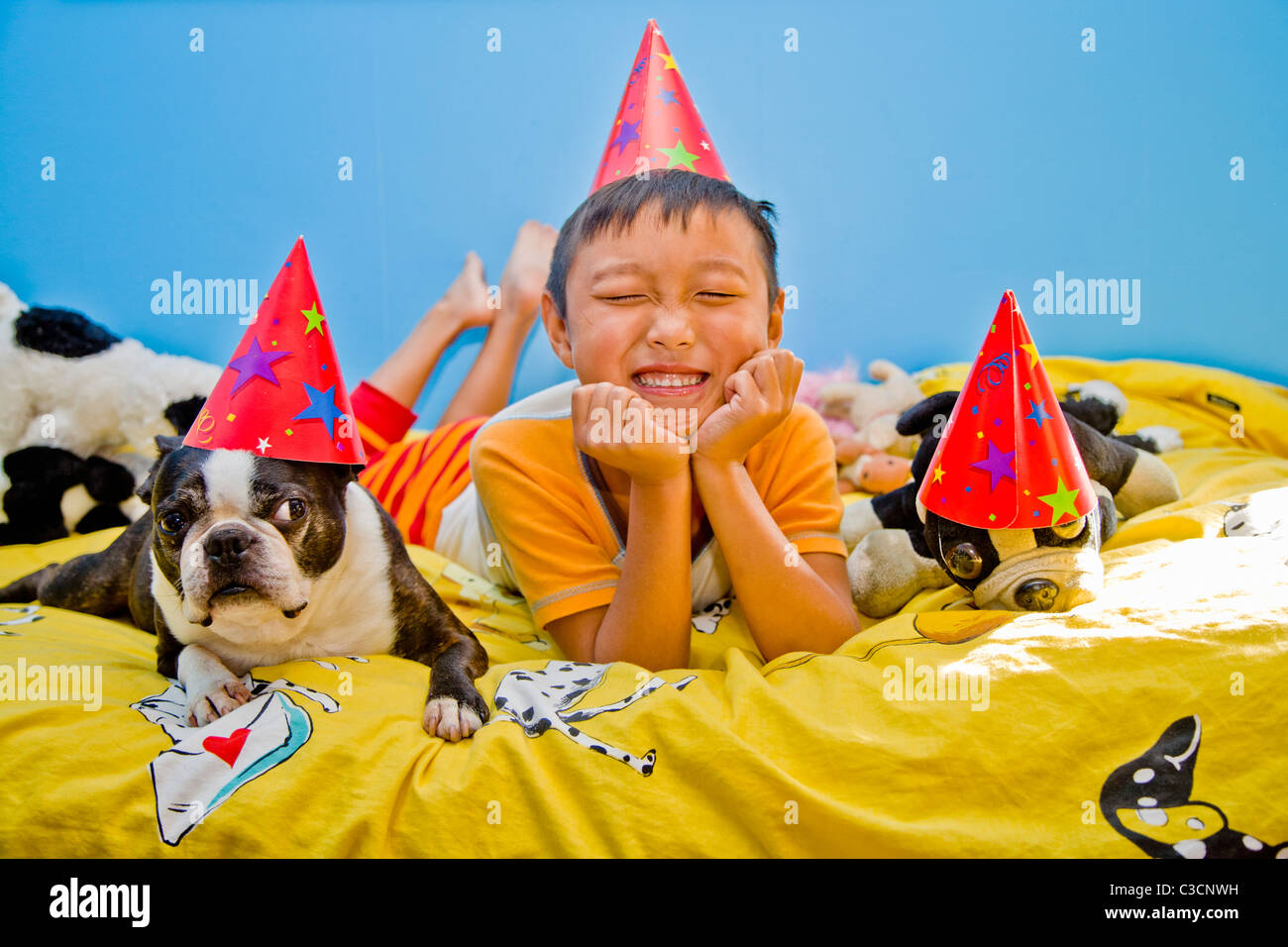 ragazzo e cane che indossano cappelli da festa sul letto Foto Stock