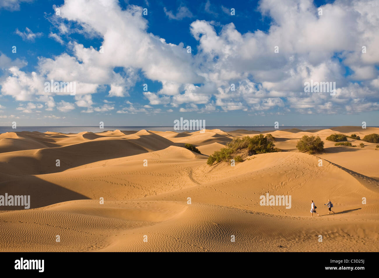 Un paio di piedi di fronte alle dune di Maspalomas in Gran Canaria Island. Signor disponibile. Foto Stock