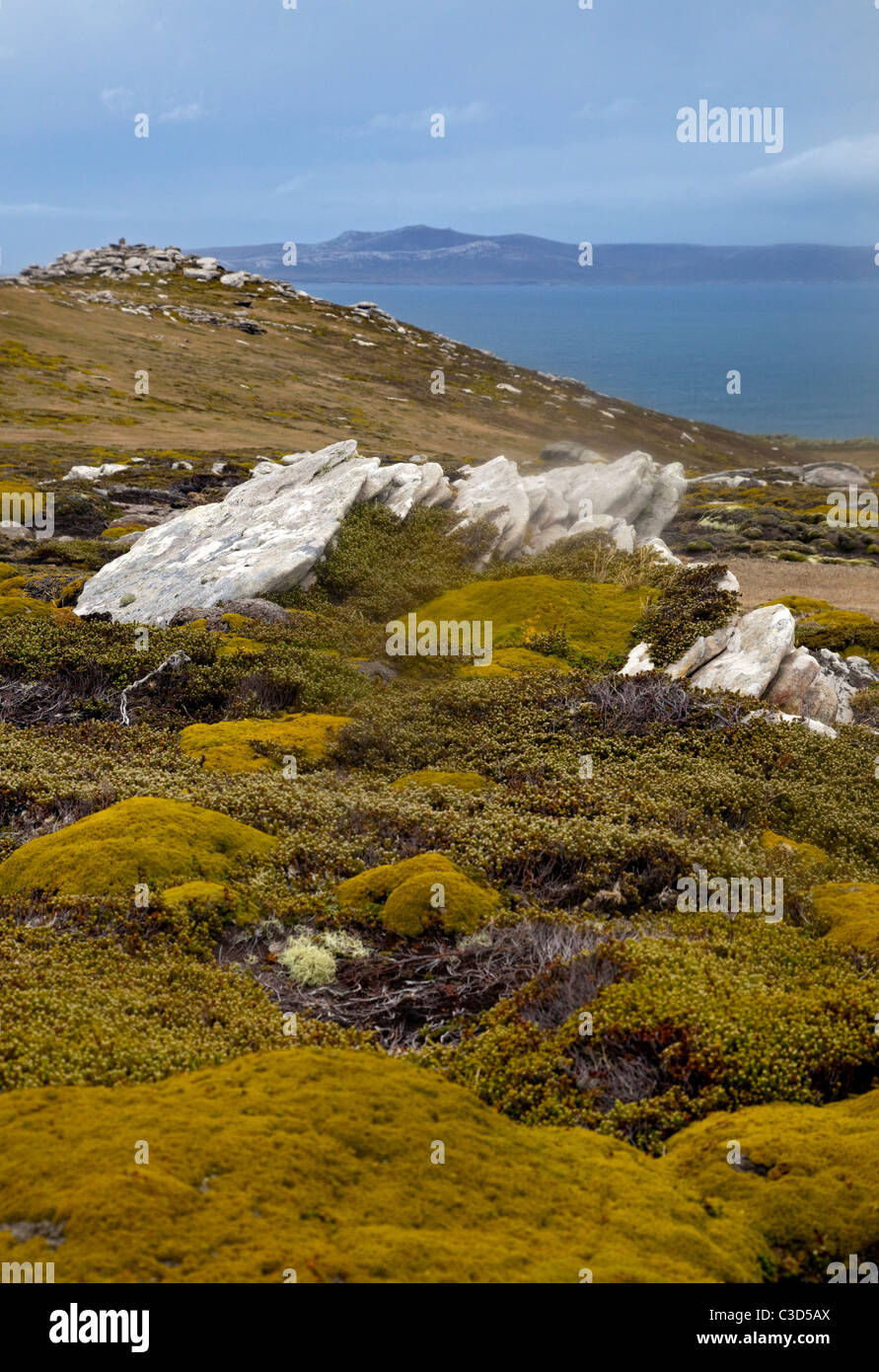 West Point Island, Falklands Foto Stock