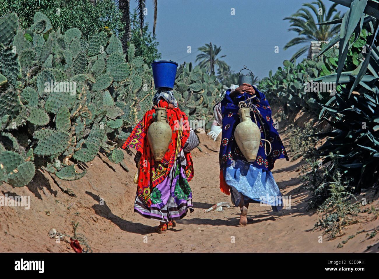 Portatori di acqua, oasi, Tozeur, Tunisia Foto Stock