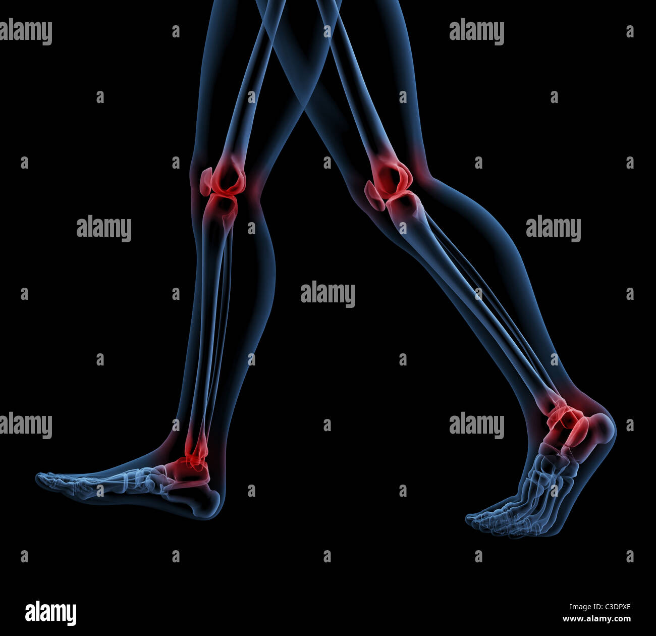 3D render di uno scheletro close up di gambe camminando Foto Stock