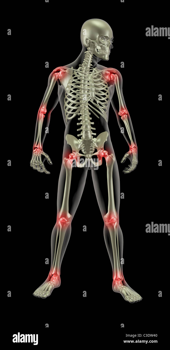 3D render di un medico di scheletro con giunti evidenziata Foto Stock