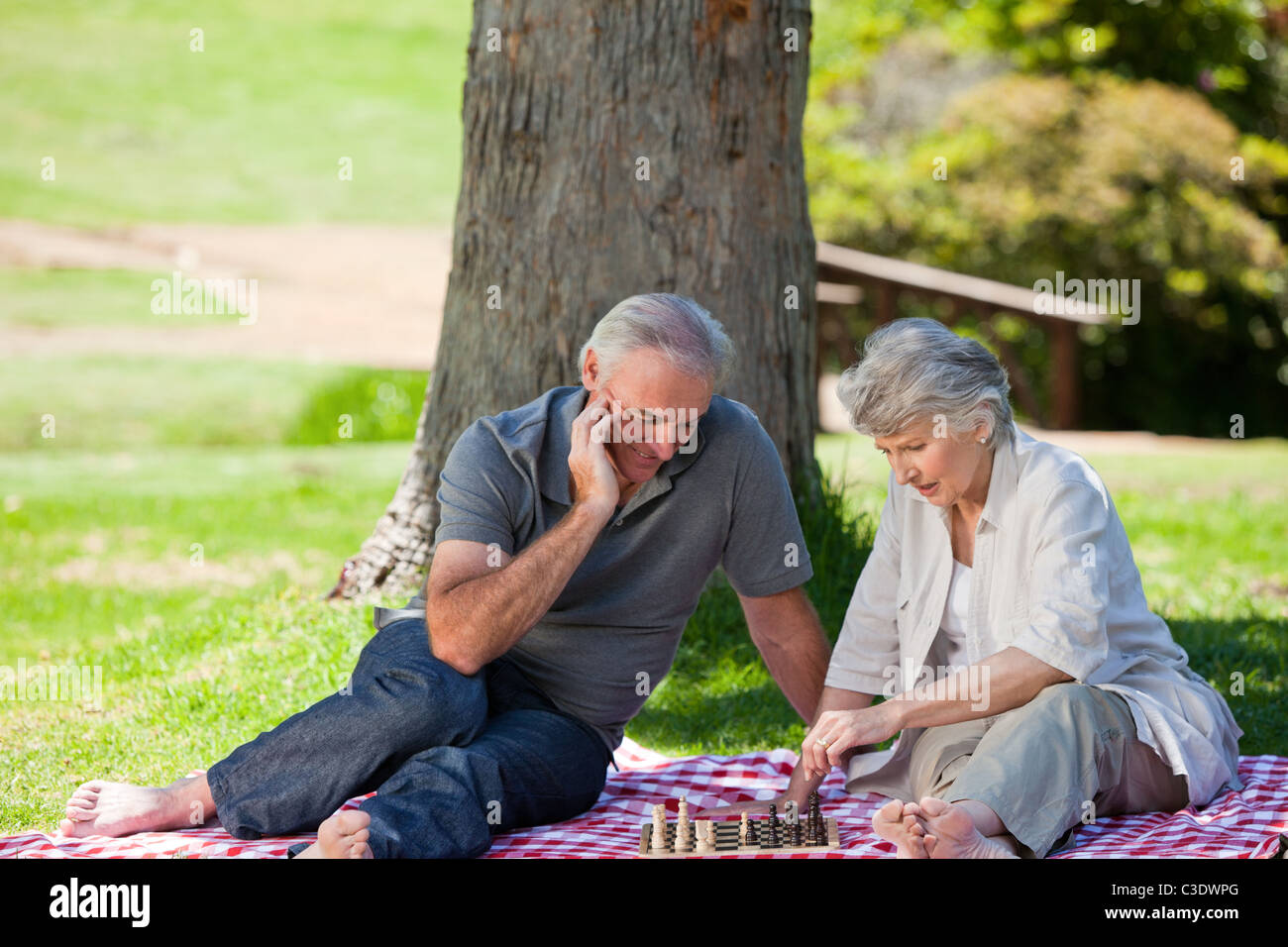 Coppia matura picnic nel giardino Foto Stock