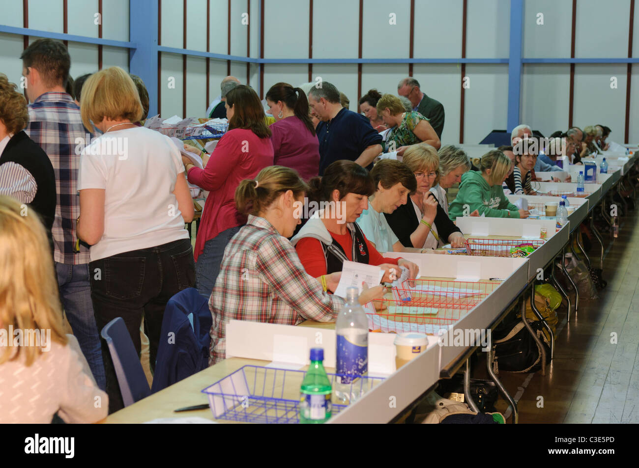 I lavoratori in una elezione centro di conteggio, conteggio dei voti Foto Stock