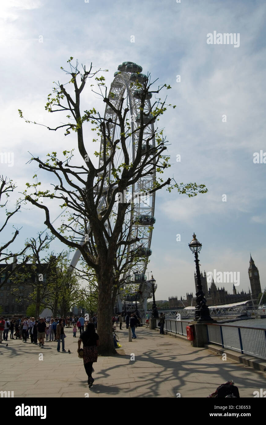 London Eye per l'autunno. Foto Stock