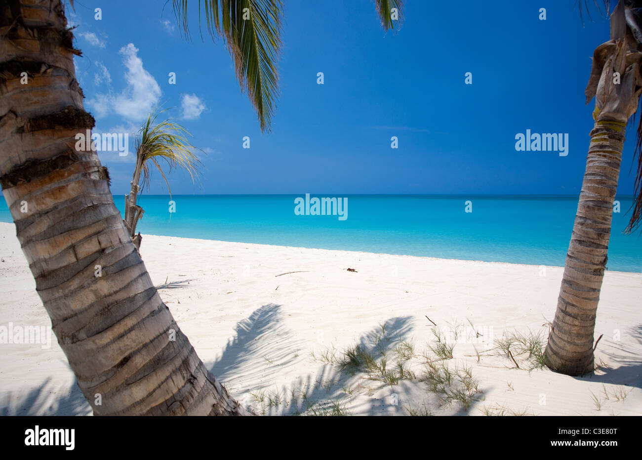 Alloggiamento basso Palms at Lighthouse Bay Resort Foto Stock