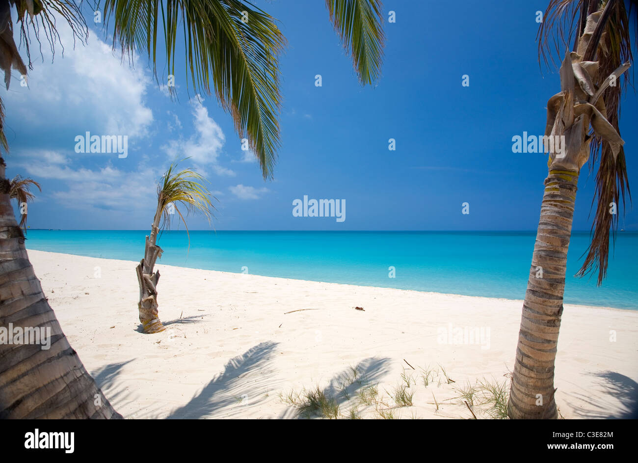 Alloggiamento basso Palms at Lighthouse Bay Resort Foto Stock