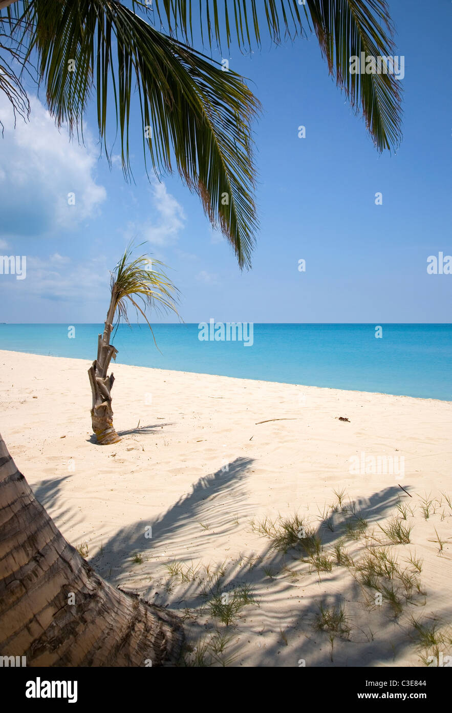Alloggiamento basso Palms at Lighthouse Bay Resort Foto Stock