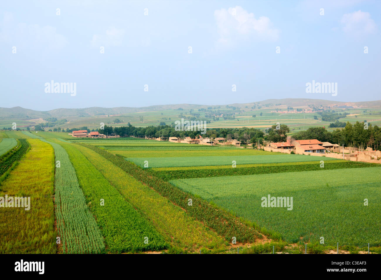 Mongolia interna: Village e il campo di coltivazione Foto Stock