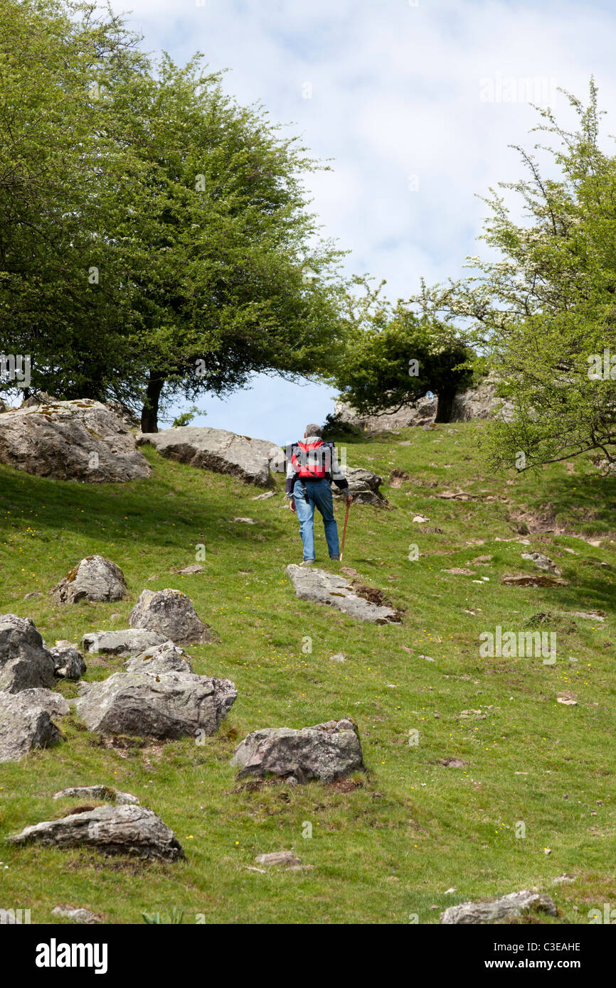 Un escursionista solitario sulla sommità del picco di Mondarrain (Atlantic Pirenei - Francia). Randonneur solitaire au sommet du pic Mondarrain (Franc Foto Stock