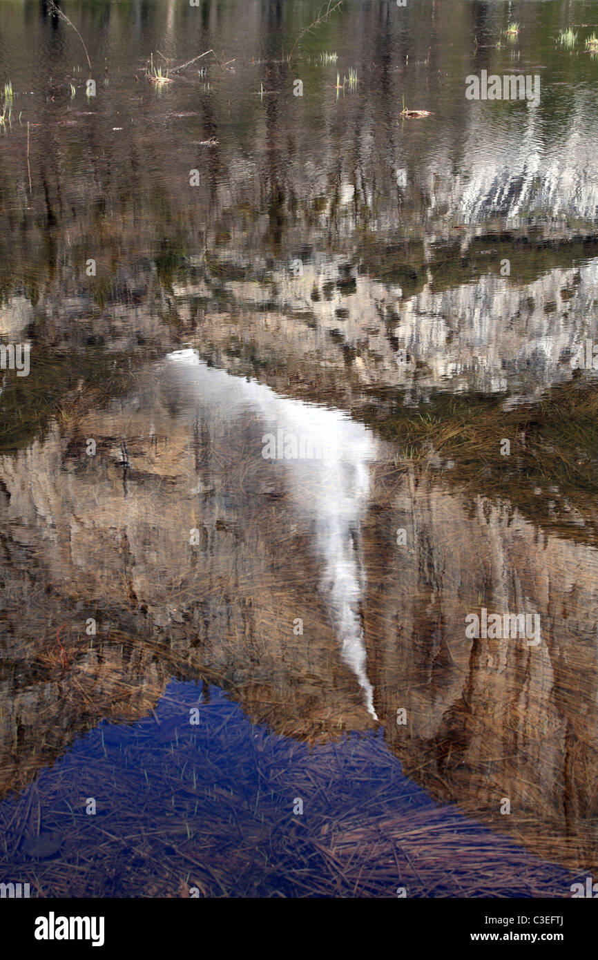 La riflessione di Yosemite Falls nel prato sul fondovalle del Parco Nazionale di Yosemite Foto Stock