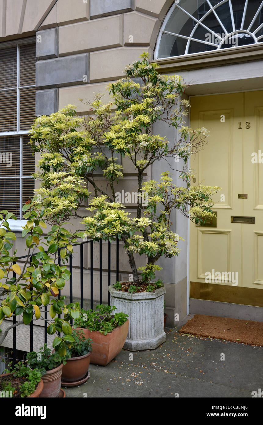 Una tipica porta 'Garden' nella zona nuova di Edinburgo. Foto Stock