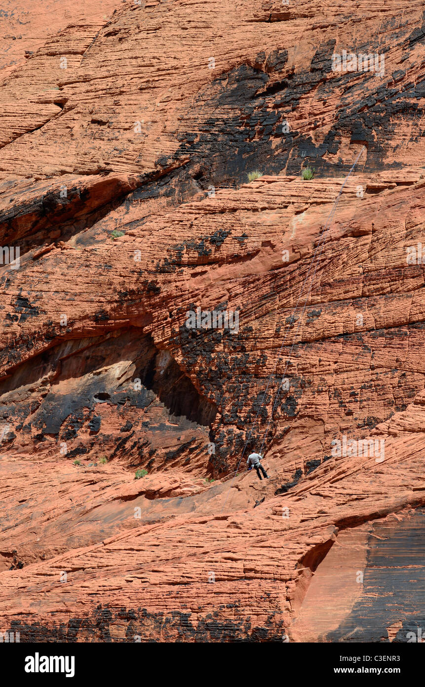 La repulsione di rocciatore, calicò colline, il Red Rock Canyon, nevada 110417 70092 Foto Stock