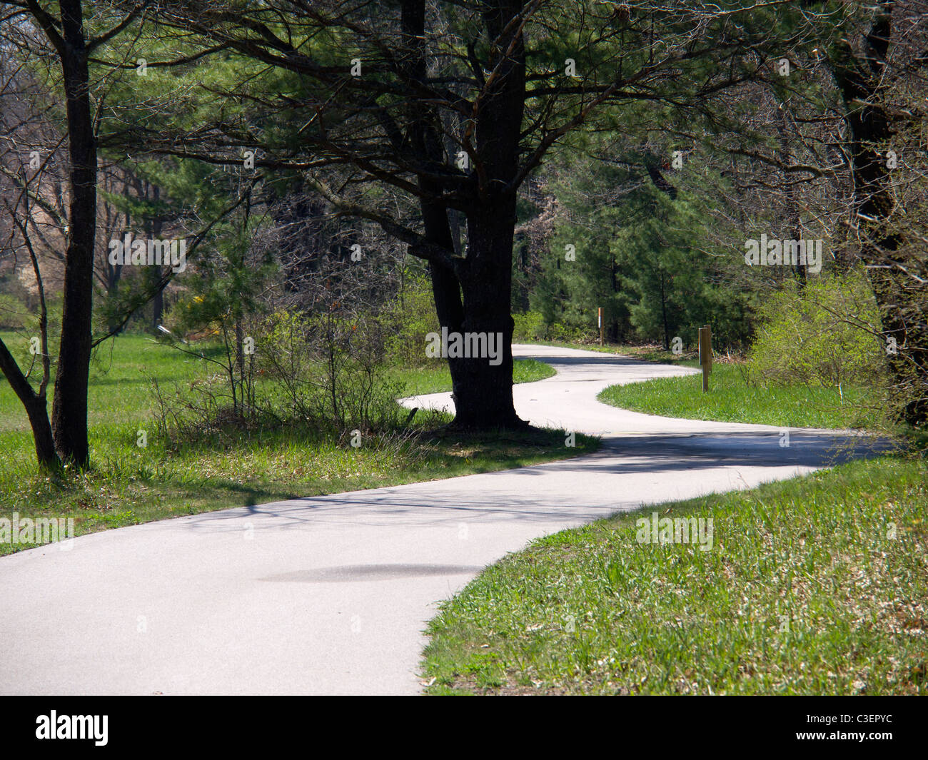 Il percorso in bicicletta attraverso il bosco verso la Whitehall, Michigan library. Foto Stock