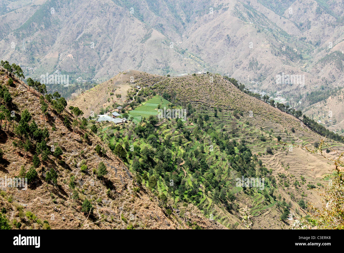 Terreno collinare di Himachal Pradesh, India Foto Stock