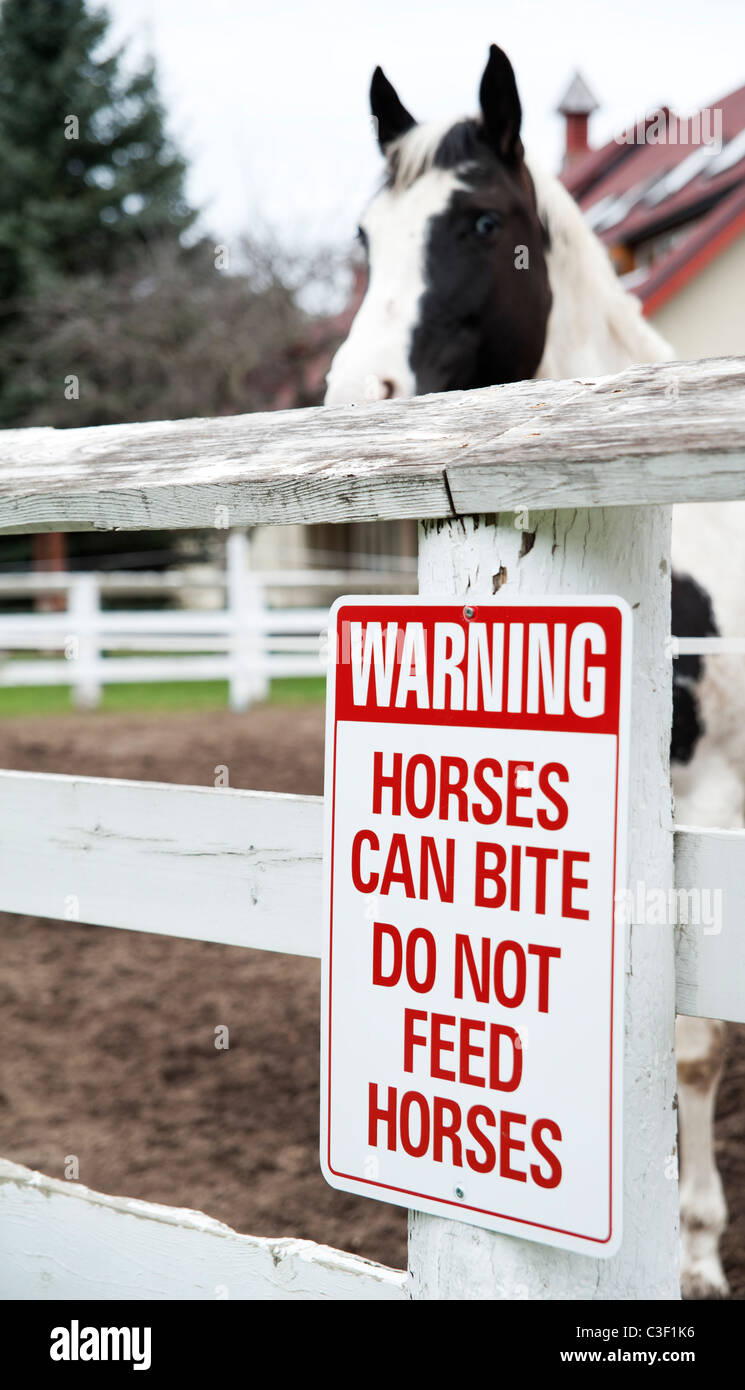 Un segno ammonisce contro i cavalli di alimentazione a causa di pericolo di una stabile mentre un cavallo guarda con sospetto in background. Foto Stock