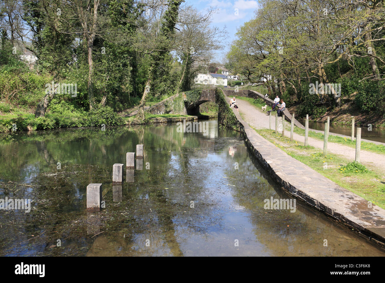 Tre donne con cani a Aberdulais bacino del canale, Neath, South Wales, Regno Unito Foto Stock