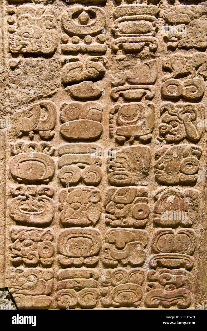 Città del Messico.Il Museo Nazionale di Antropologia.La cultura Maya.scrittura maya. Foto Stock