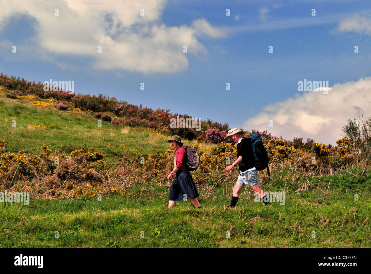 Spagna, San Giacomo titolo: Pellegrini passando il mountain pass Alto de San Roque sul loro cammino di Santiago de Compostela Foto Stock