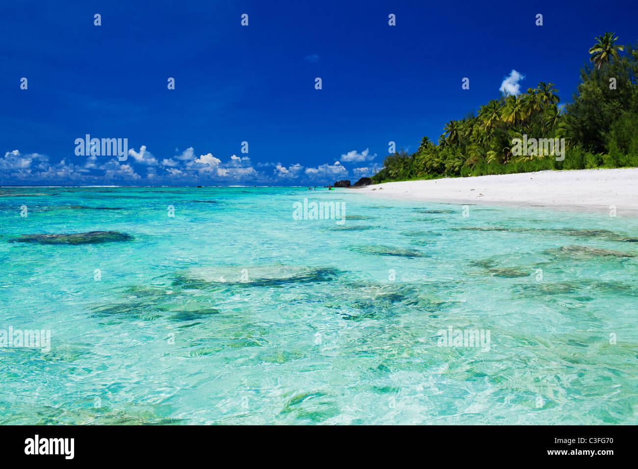 Ideale per lo snorkeling pulita spiaggia con corallo e palme Foto Stock