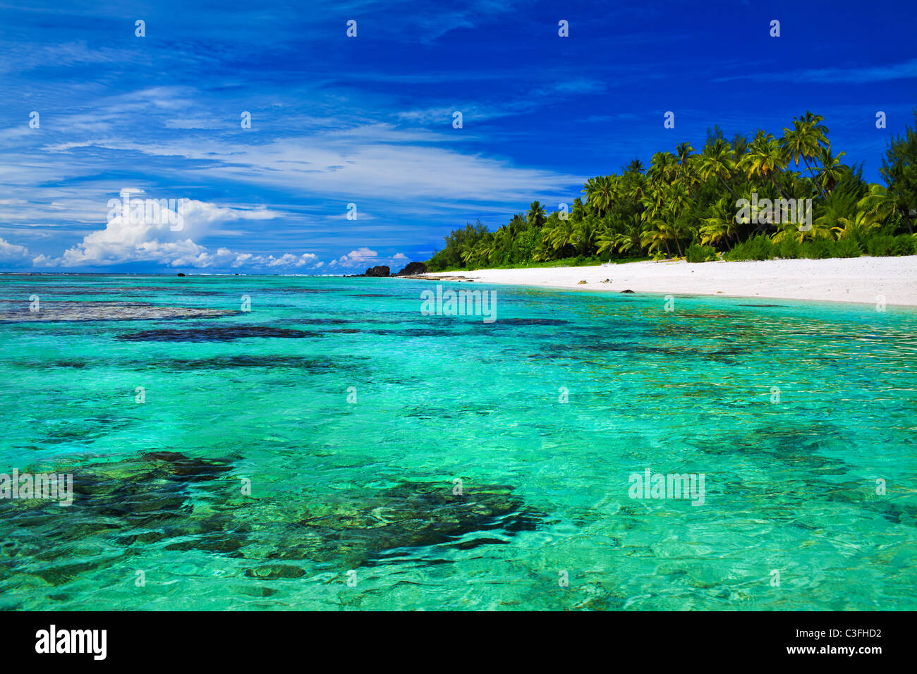 Ideale per lo snorkeling pulita spiaggia con corallo e palme Foto Stock