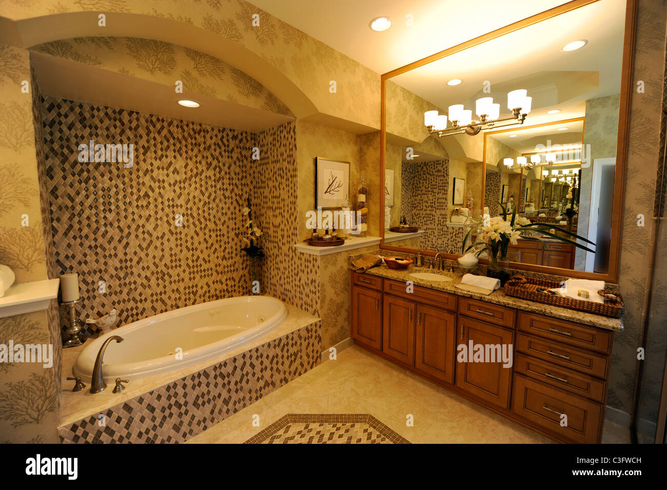 Interno spazioso bagno moderno bagno di un elegante casa nuova costruzione Tampa Florida Foto Stock