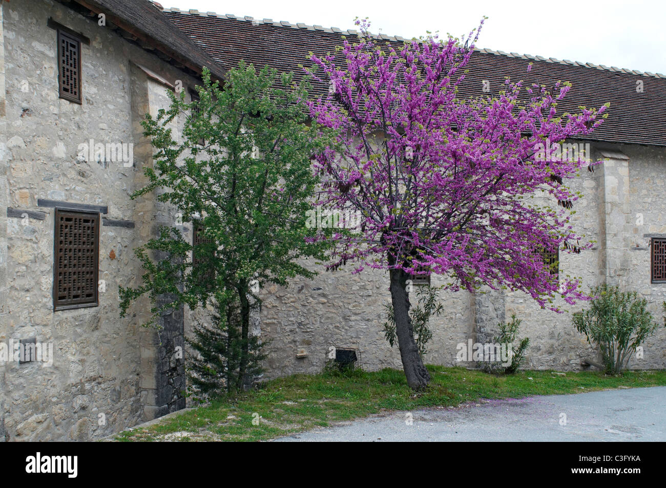 Il monastero di Panagia Chrysorrogiatissa in primavera Foto Stock