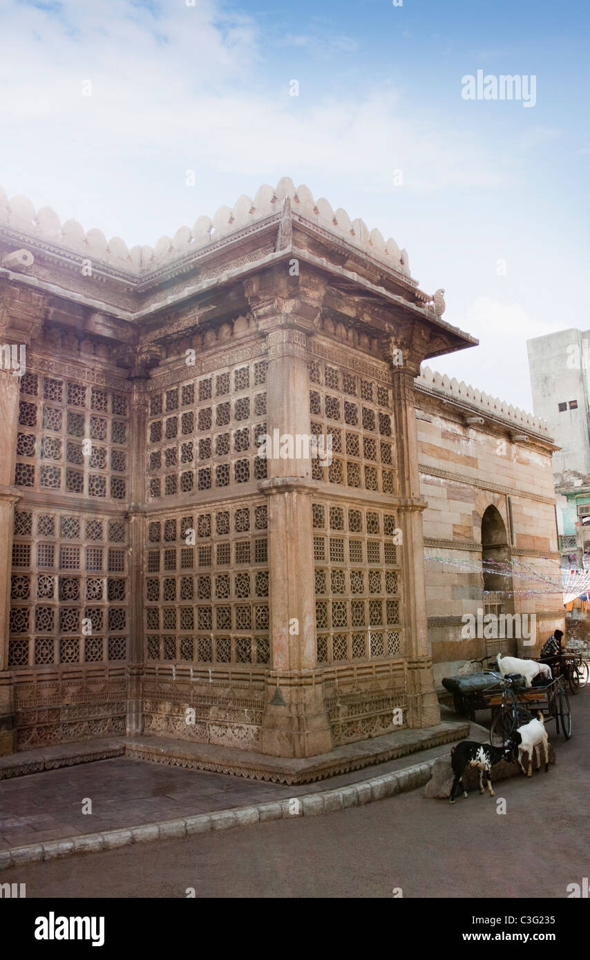 Kid capre in prossimità di un edificio, Ahmedabad, Gujarat, India Foto Stock