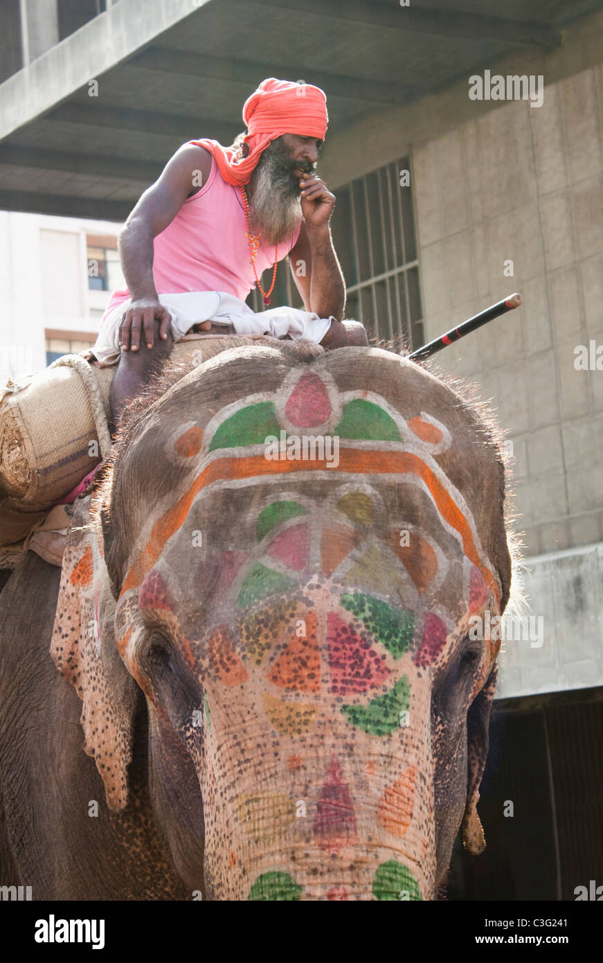 Uomo seduto su un elefante, Ahmedabad, Gujarat, India Foto Stock