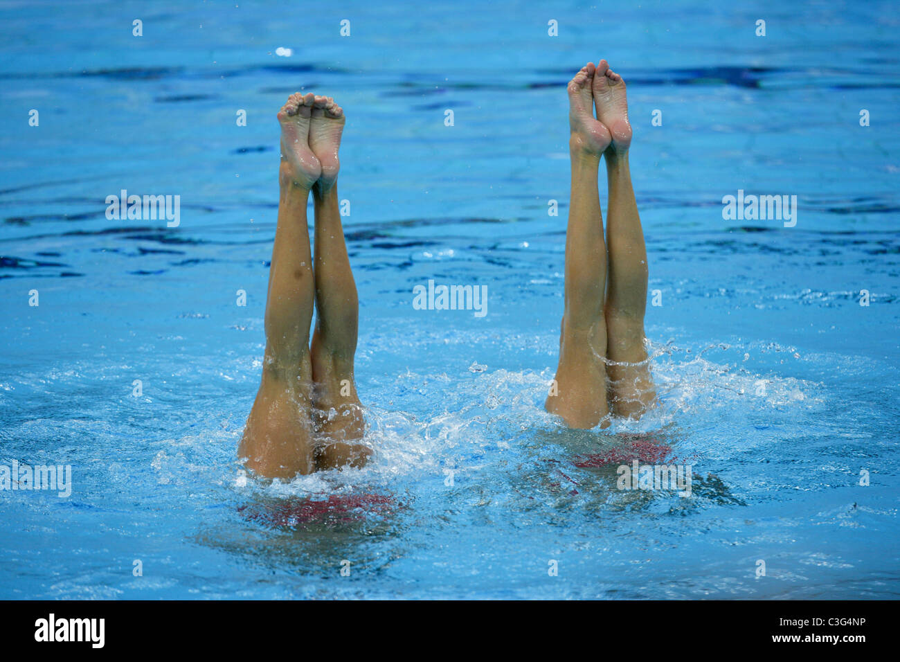 I concorrenti in duetto nuoto sincronizzato al 2008 Olimpiadi estive di Pechino, Cina. Foto Stock