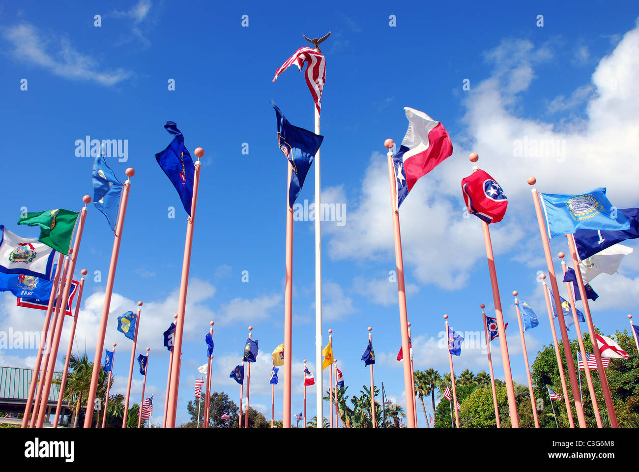 Una immagine di stato Flags of America Foto Stock