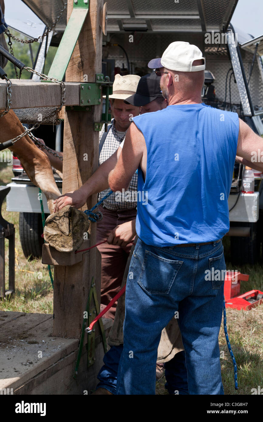 Fabbri trattenere la gamba di un cavallo. Foto Stock