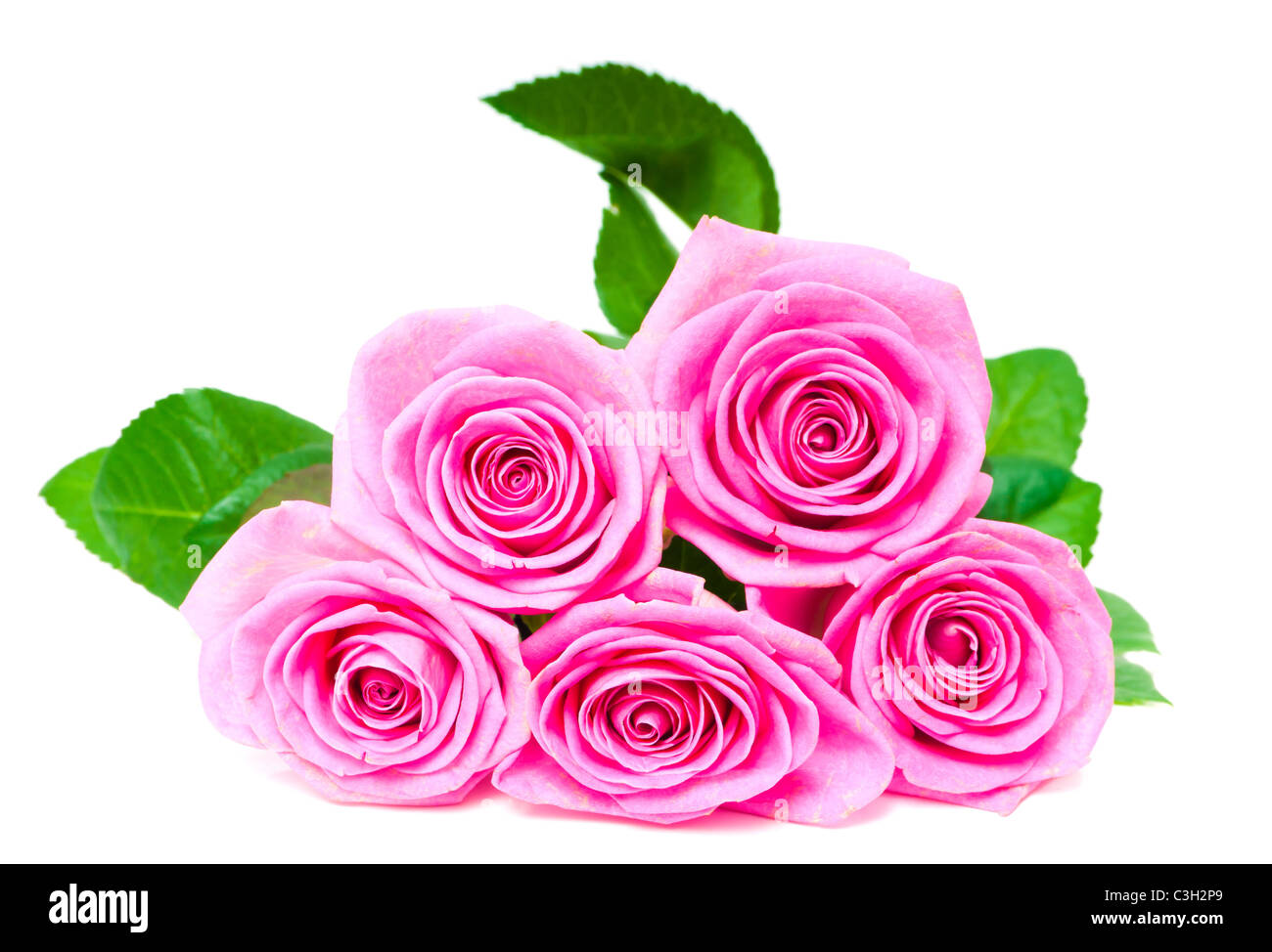 Bouquet di bellissime rose rosa su bianco Foto stock - Alamy