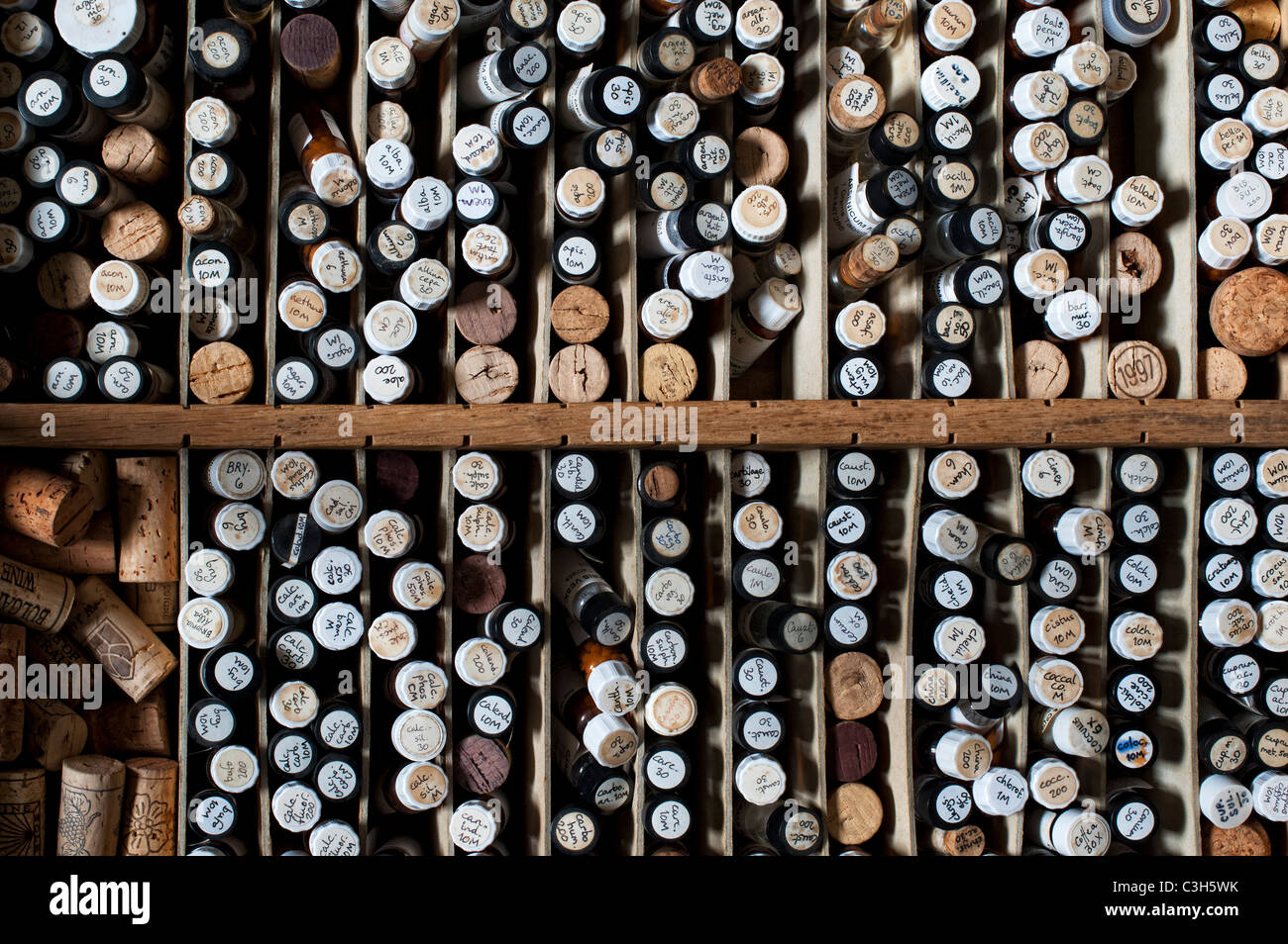 Bottiglie di medicinale omeopatico pillole in un assorbimento di legno Foto Stock