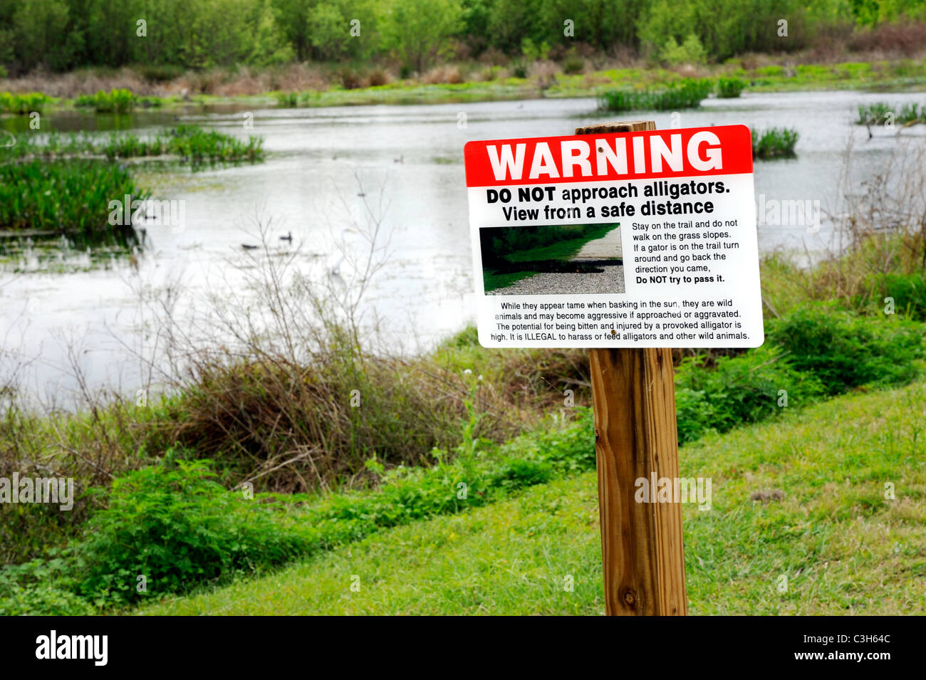 Alligatore segnale di avvertimento in corrispondenza della natura e della fauna e flora selvatiche al cerchio B Bar nella Riserva Naturale del Lakeland Florida Foto Stock